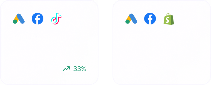 Madgicx Total Ad Spend and MER cards, with ad spend trending up.