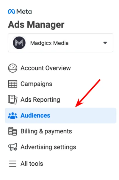 Ads Manager - Audiences