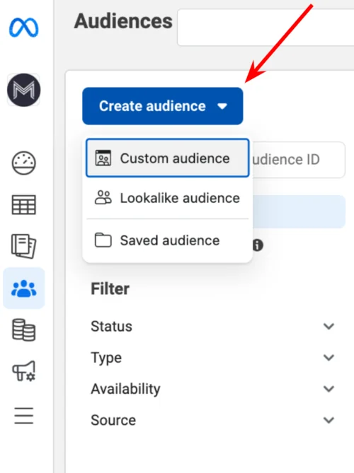 Ads Manager - Create audience and custom audience button