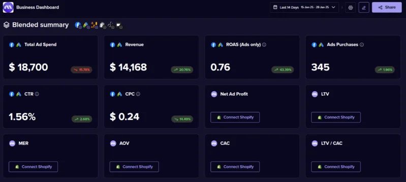 Alt: Madgicx Business Dashboard