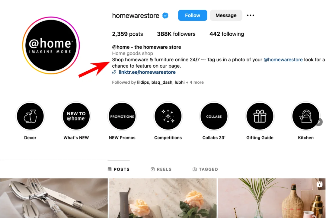 Example of an optimized Instagram bio