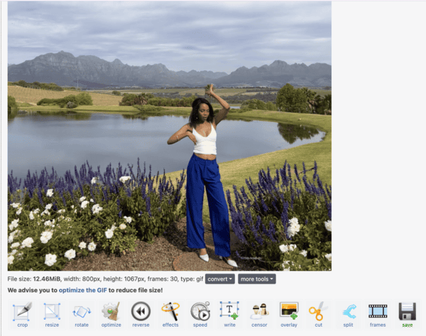 Ezigif editing tools