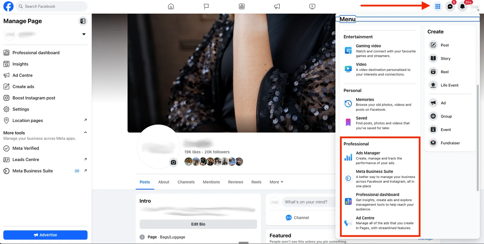 Facebook menu with the Professional section highlighted, where Ads Manager is listed.