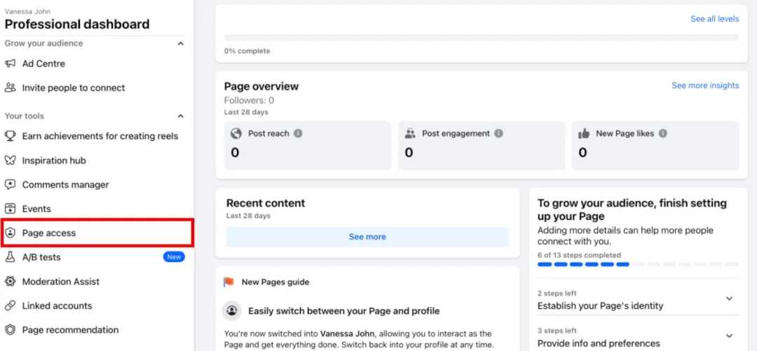 Facebook Professional dashboard with 'Page access' highlighted, where you add admins to your Page.