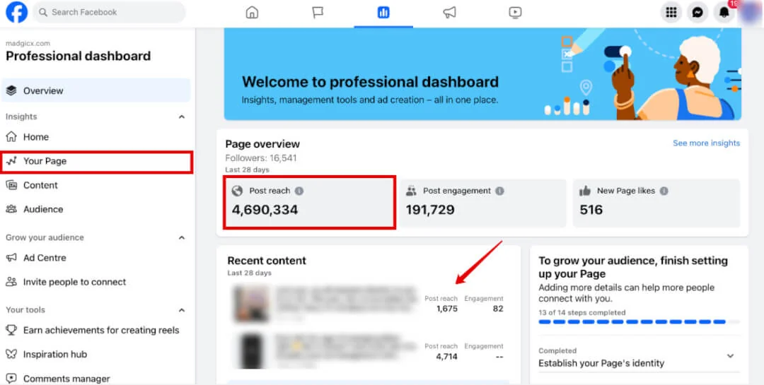 Facebook Professional Dashboard 'Your Page' overview with the post reach total highlighted.