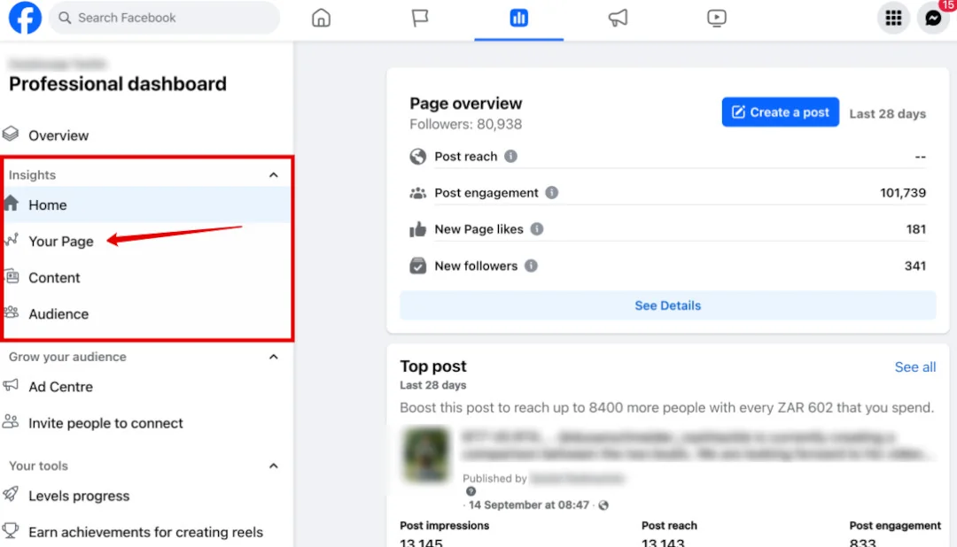 Facebook Professional dashboard with an arrow pointing to Your Page under Insights, beside the Page overview.