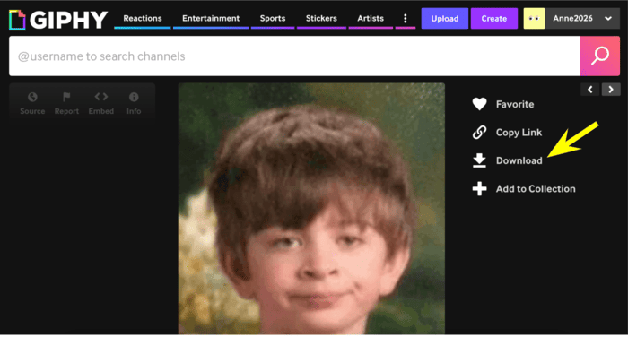 Giphy download button