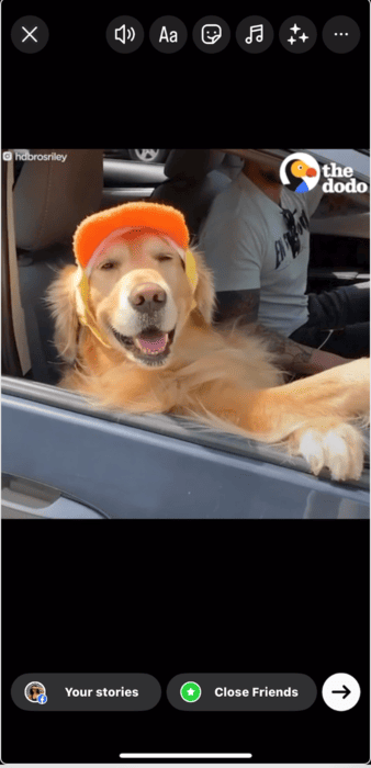 Giphy gif in Instagram Story