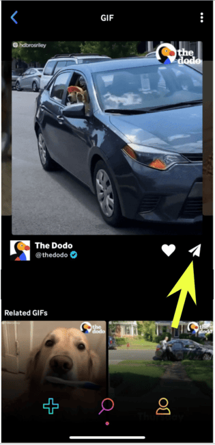 Giphy paper plane icon