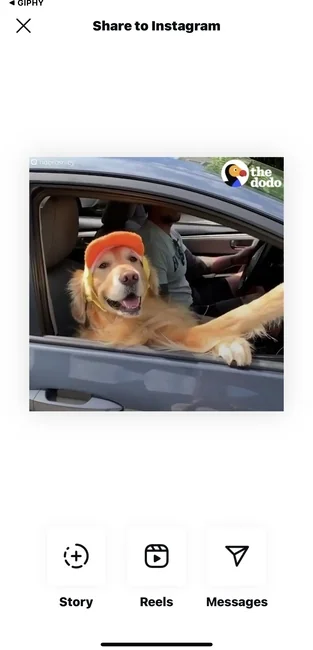 Giphy - share to Stories, Reels, or Messages