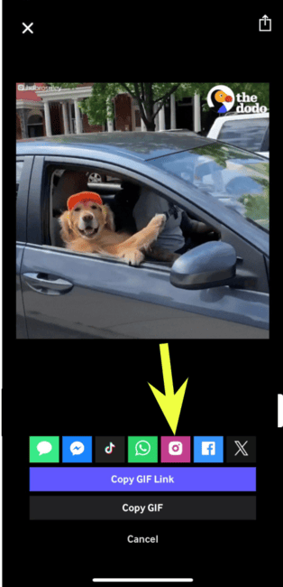Giphy - social media icons for sharing