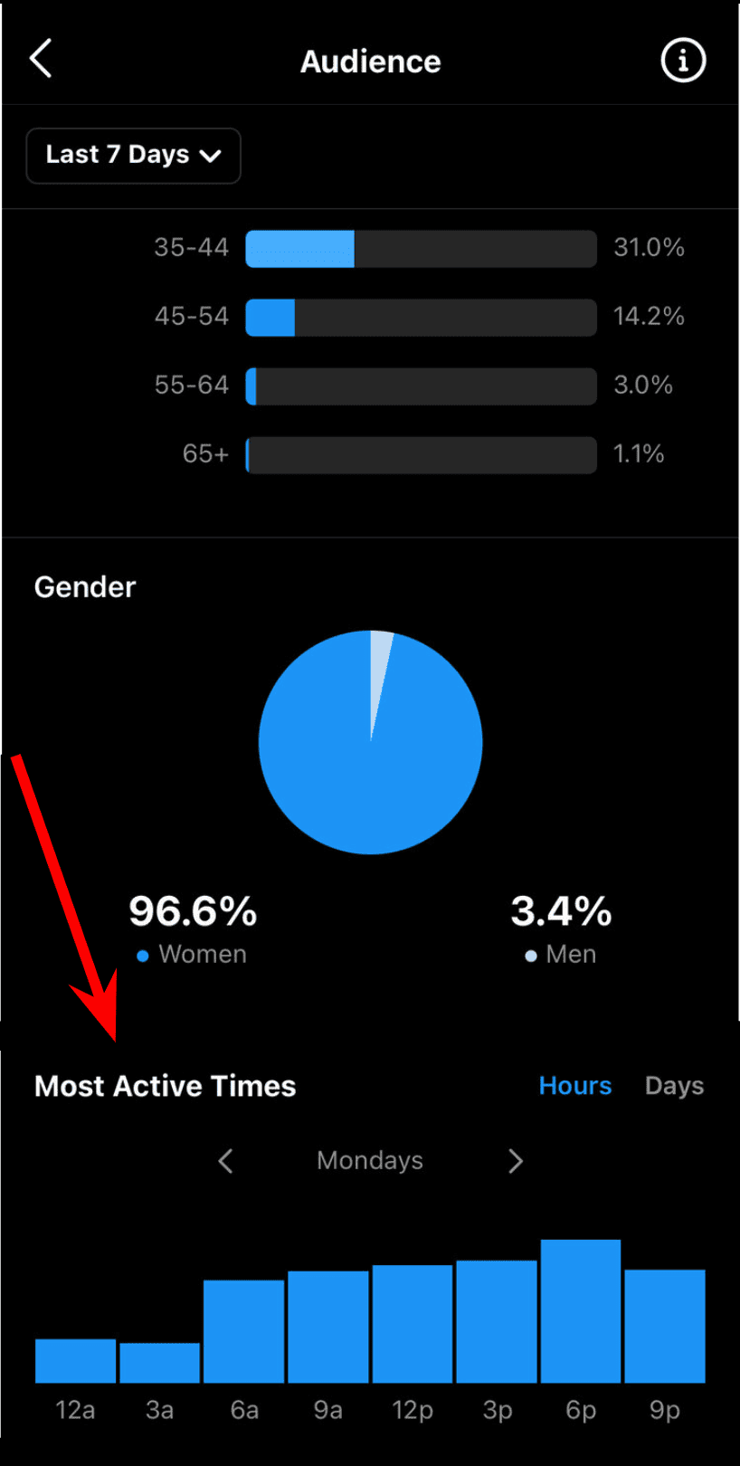 Instagram Audience Insights