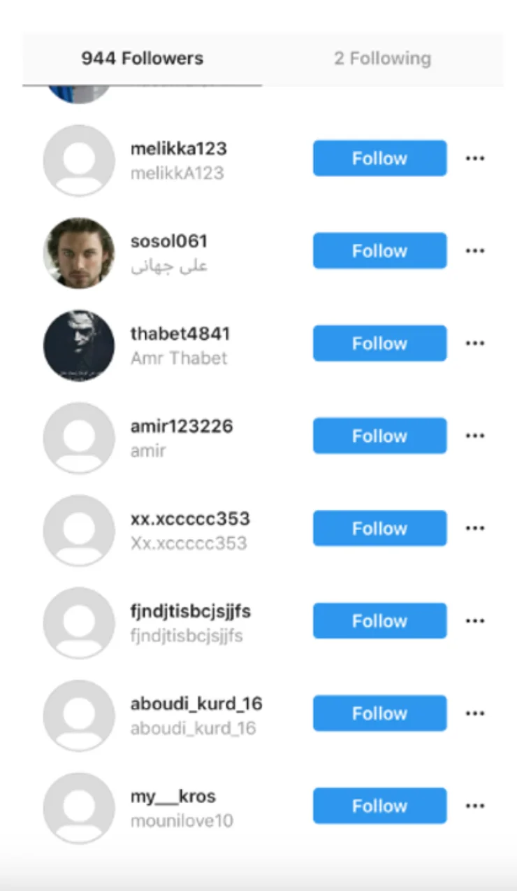 Instagram fake followers example