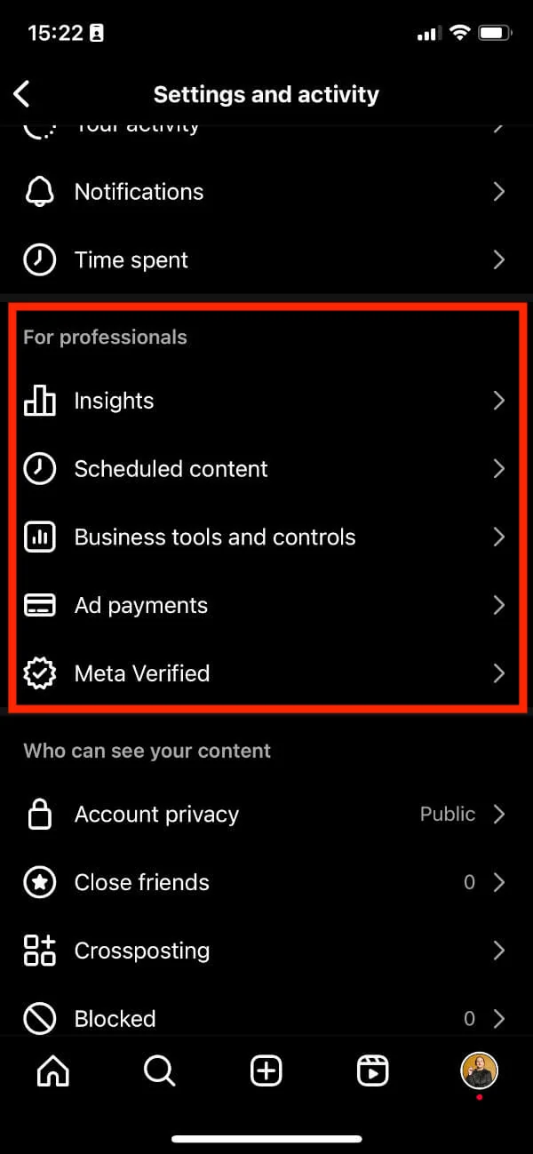 Instagram 'Settings and activity' menu with the 'For professionals' tools, including Insights, highlighted.
