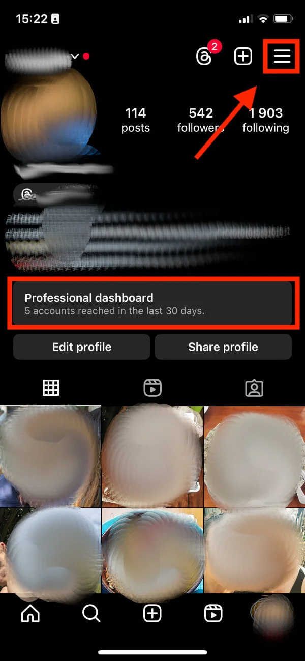 Instagram profile with the menu icon and the Professional dashboard below the bio highlighted.