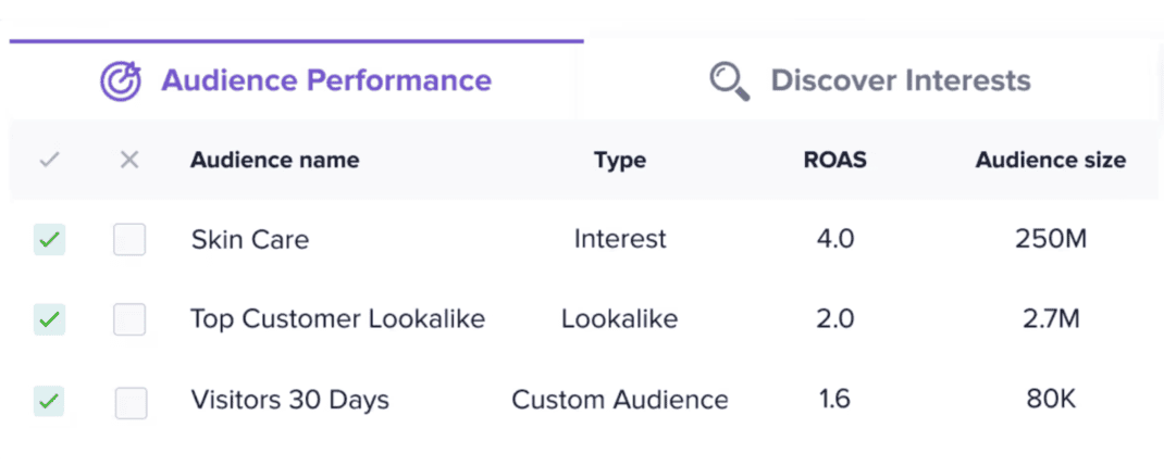 Madgicx Audience Studio custom audiences