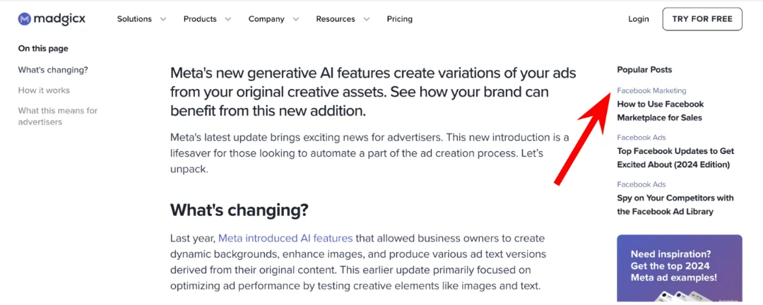Madgicx website popular blogs