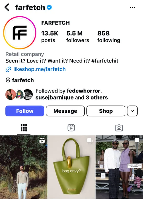 Optomized Instagramp profile