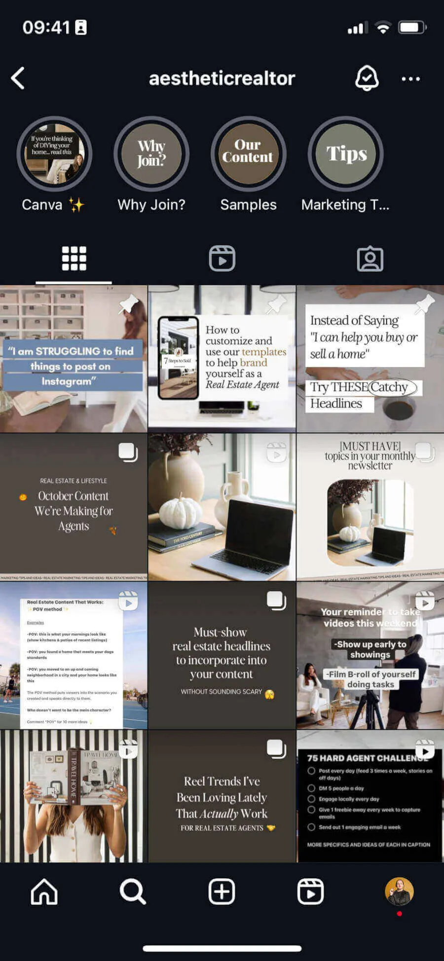 Real estate agent's Instagram grid with a consistent neutral color palette and fonts across posts.