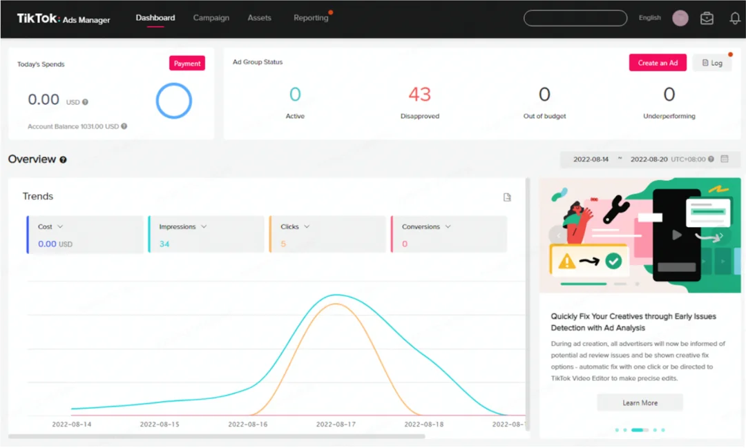 TikTok Ads Manager dashboard.