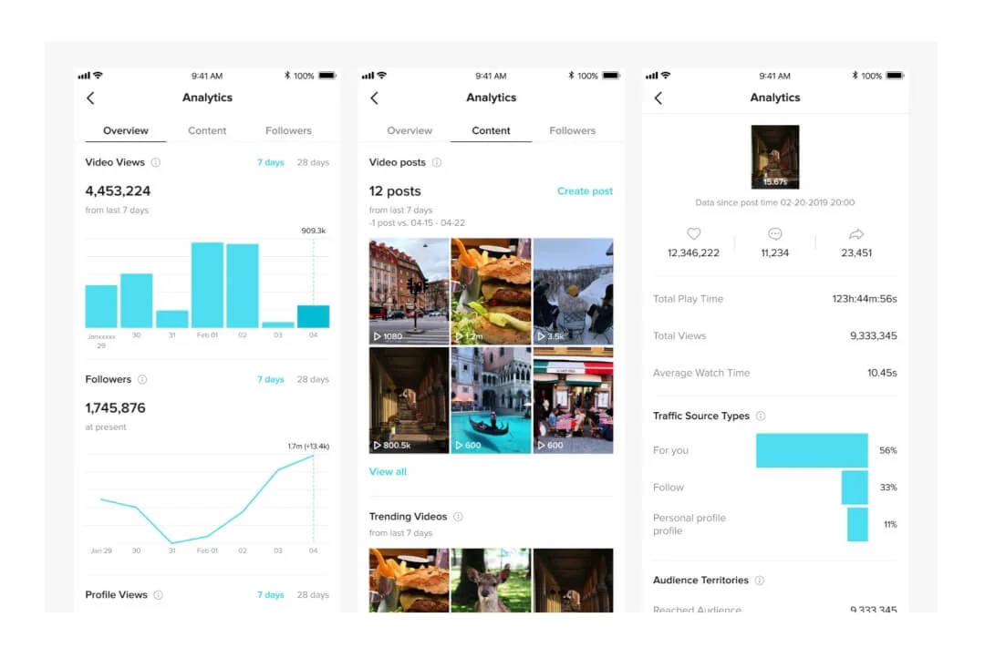 TikTok analytics