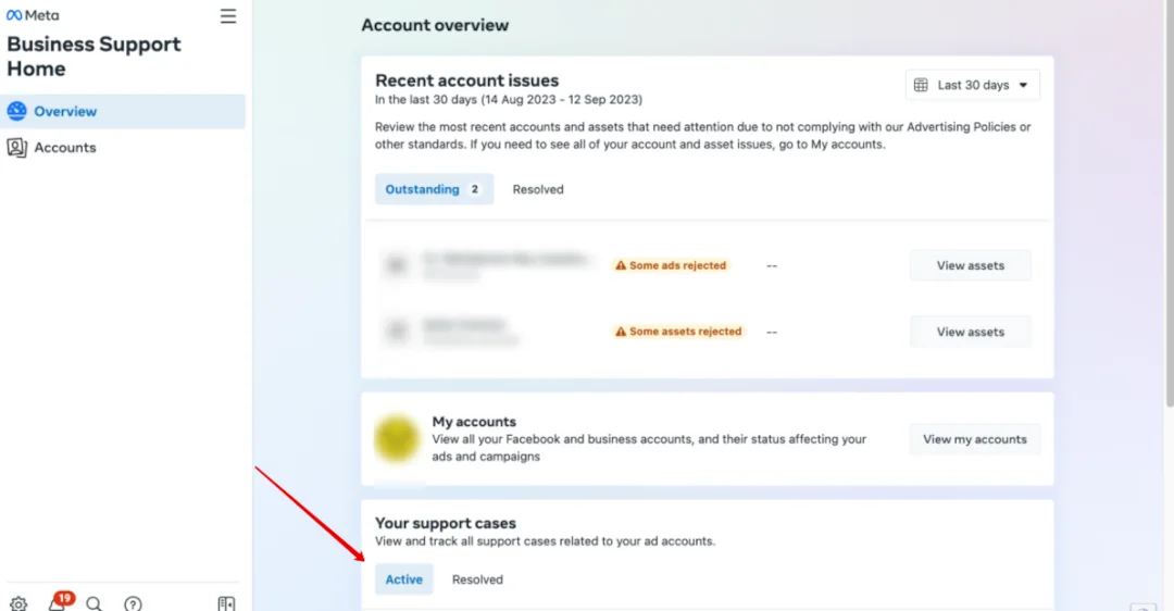 View of the "Business Support Home" page showing any recent account issues, your accounts, and your support cases sections.