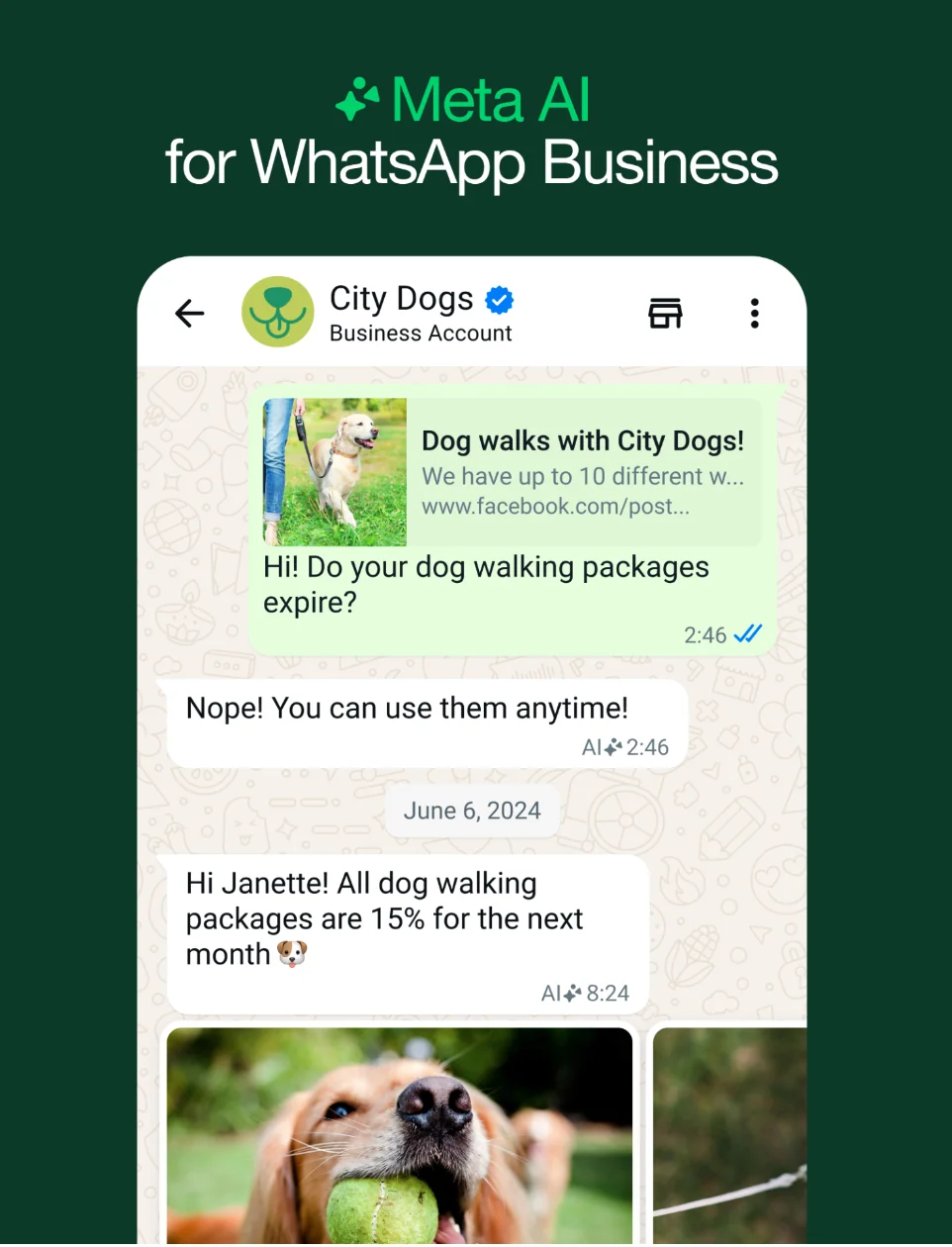 WhatsApp AI tools for customer assistance