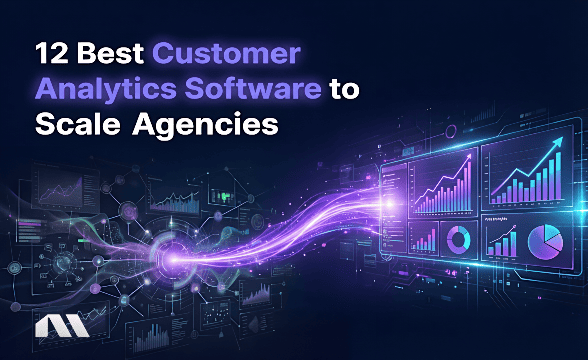12 Best Customer Analytics Software to Scale Agencies