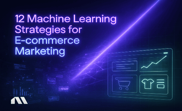 12 Machine Learning Strategies for E-commerce Marketing
