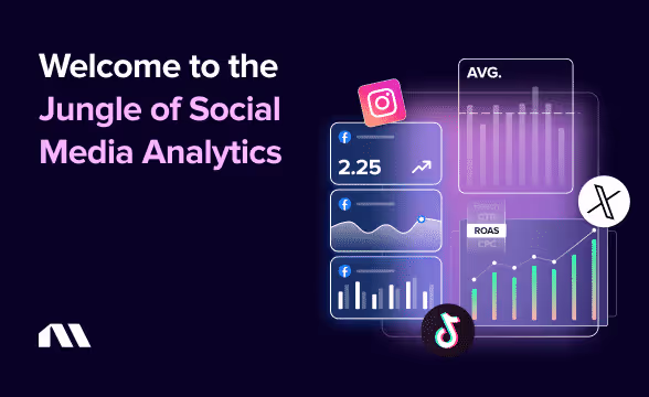 Welcome to the Jungle of Social Media Analytics