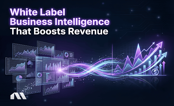 White Label Business Intelligence That Boosts Revenue