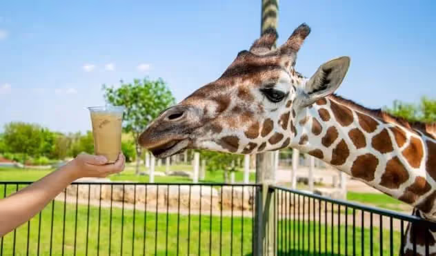Tanganyika Wildlife Park