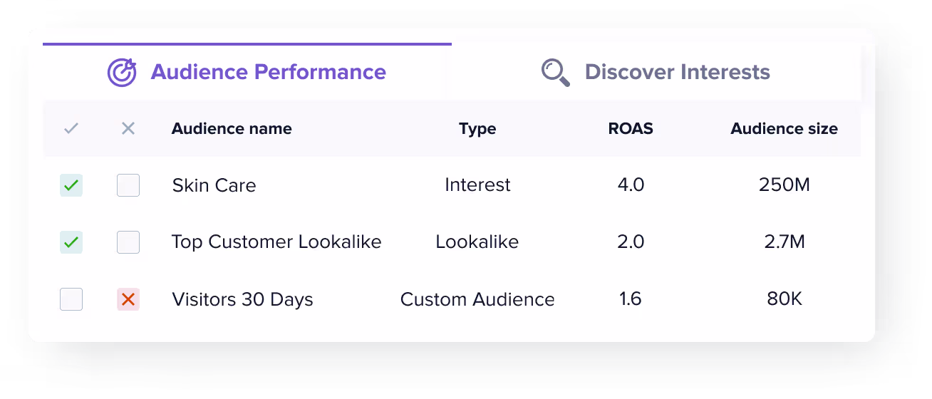 Have Your Audience Data Automatically Unified | Madgicx Audience Studio